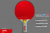 Теннисная ракетка Start line Level 300 New (прямая) 12403 Теннисная ракетка Start line Level 300 New (прямая) 12403